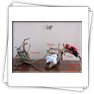 Flora,Florian,Florentin